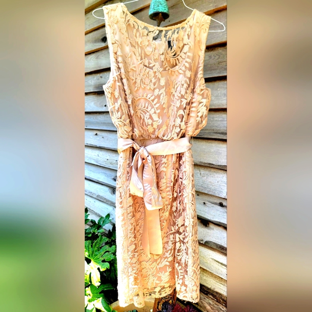 Adrianna Papell Elegant Lace Sleeveless Dress - Cream-16